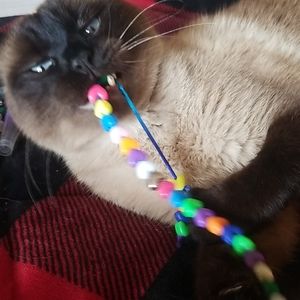 Handmade cat toy 😺